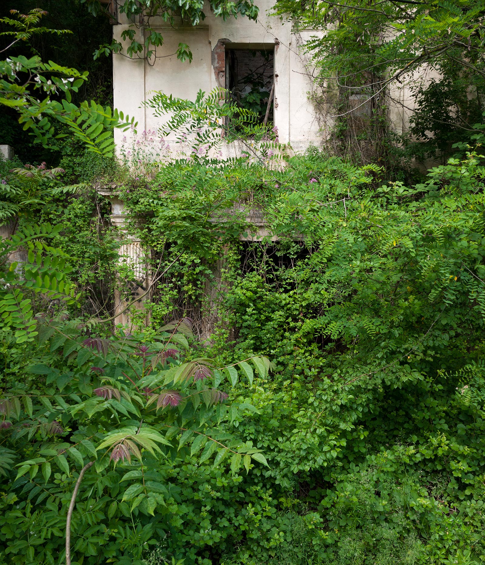 Arquitectures - 9 - BadiaCasanova