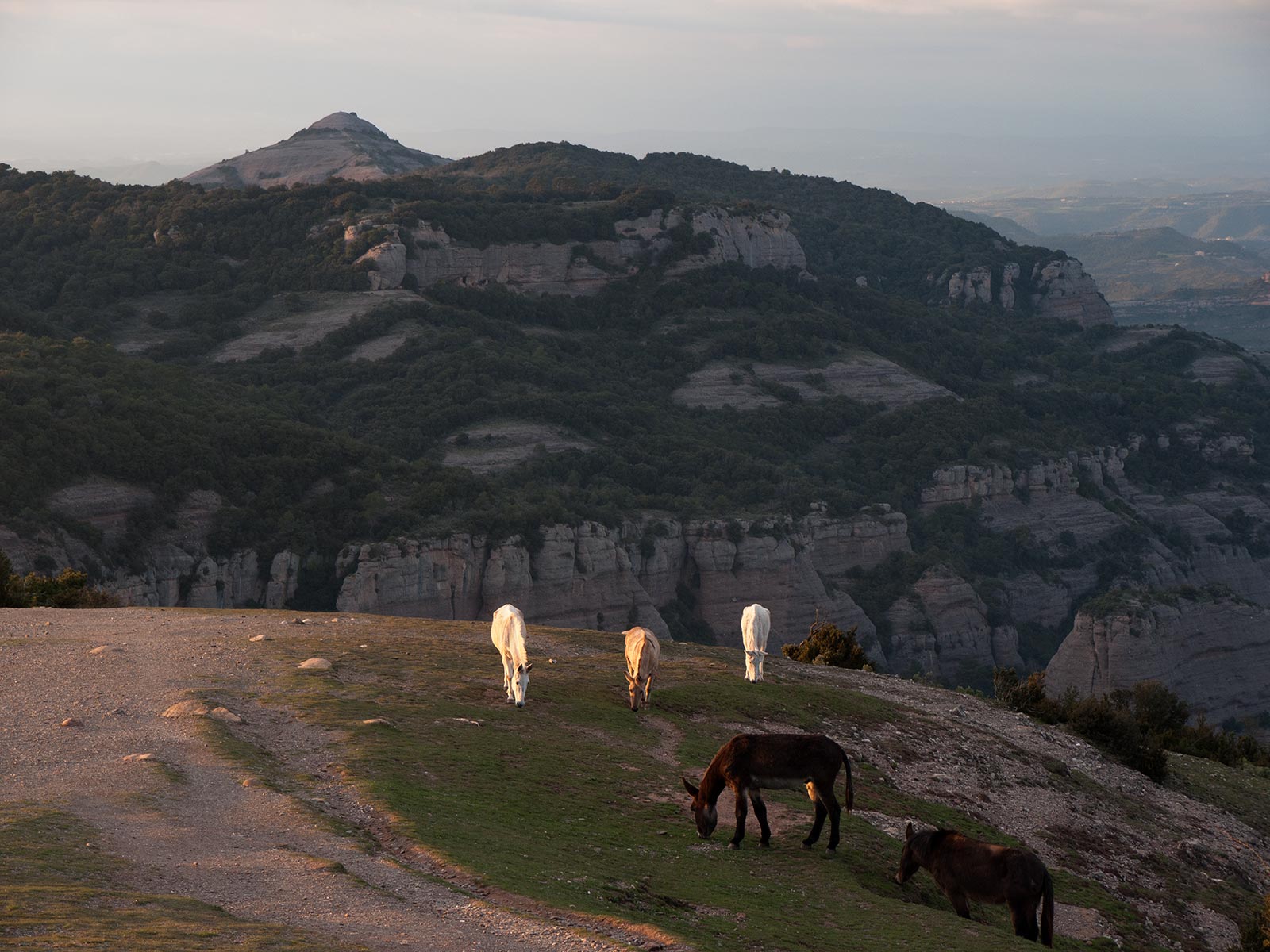 Sant Llorenç del Munt i l’Obac - 3 - BadiaCasanova