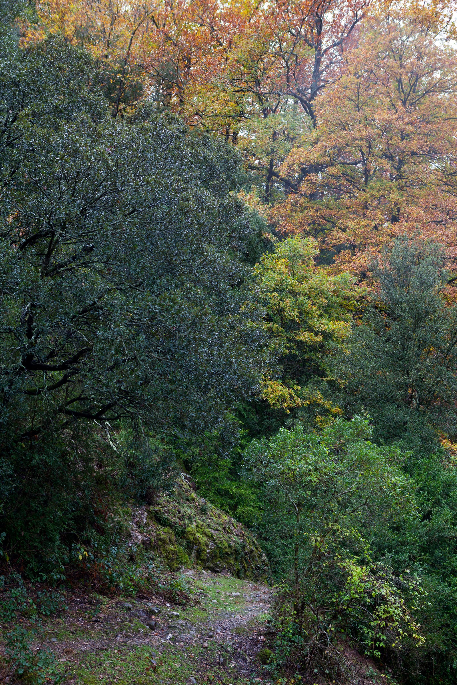 Sant Llorenç del Munt i l’Obac - 13 - BadiaCasanova